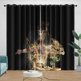 Portgas D. Ace Curtains Blackout Kids Room Window Drapes