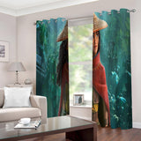 Raya and The Last Dragon Curtains Blackout Window Drapes Room Decoration