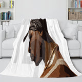 Tupac Amaru Shakur Flannel Blanket Fleece Throw Blanket Bedding Sets - EBuycos